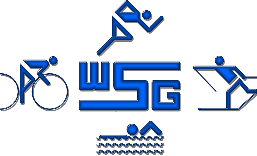 Logo-WSG-head