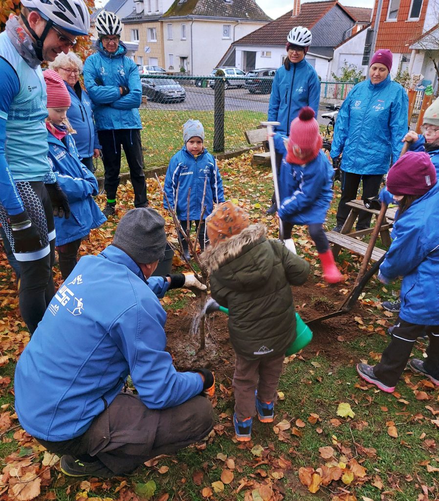 In den sozialen Netzwerken läuft seit geraumer Zeit die sogenannte Baumpflanz-Challenge, bei der Vereine sich gegenseitig nominieren können, um einen oder mehrere Bäume gegen den Klimawandel zu pflanzen. Am 26.10.2025 haben wir unsere Nominierung durch den TGV Nistertal zu dieser Aktion im Beisein der Kindergartenleitung und einiger Kindergartenkindern und deren Eltern, gemeinsam mit vielen fleißigen Kleinen und großen Helfern aus den Reihen der WSG, eingelöst. So steht nun der (noch) kleine Kirschbaum auf dem Außengelände der Kita „Weltendecker“ in Zinhain. Wir hoffen, dass er wie auch die Kinder dort gut wächst, gedeiht und in Zukunft viele Früchte trägt.