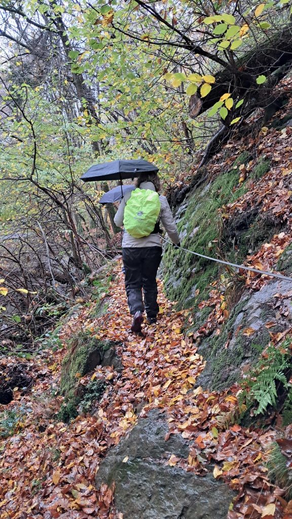 WSG Wanderwochenende 2026